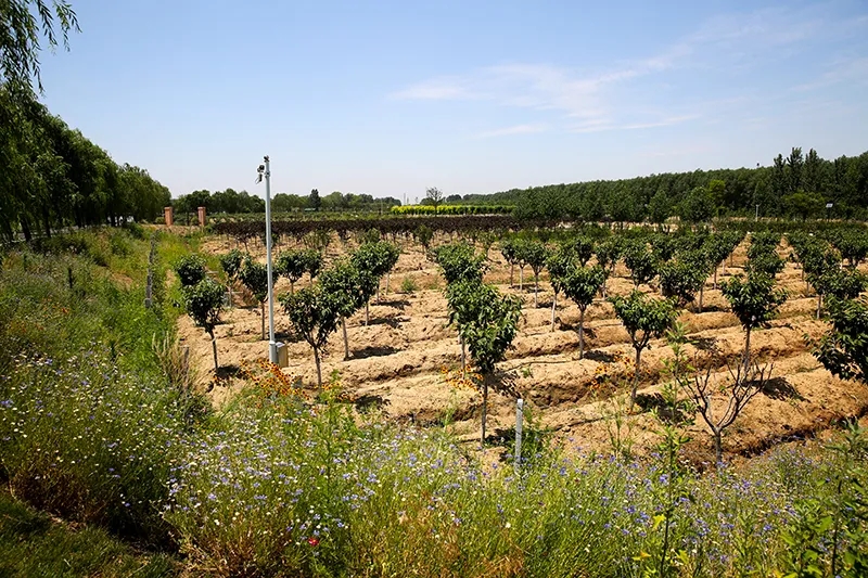 1623383346453333.jpg 640.webp (5).jpg